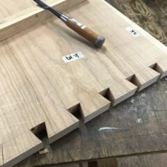 蟻組の作り方①　メス形編