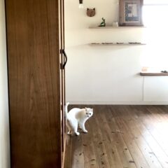 WOOD STUDIO KUZE’S ３月の予定