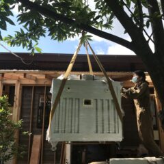 妻のrachel omelet 用の陶芸の電気窯を購入しました