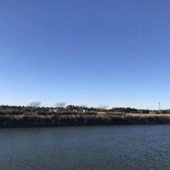 WOOD STUDIO KUZE’S2022年1月の予定