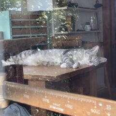 本日ショールーム臨時休業