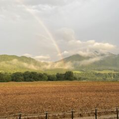 本日10月7日、SHOWROOM臨時休業いたします。